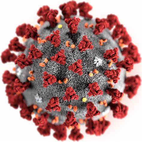 corona virus